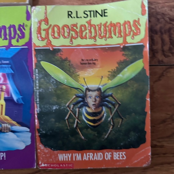 RL Stine, goosebumps books lot of 10 ￼ - Picture 11 of 13